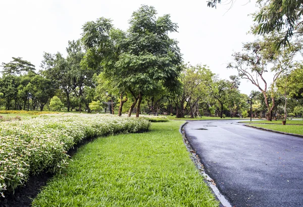 Jardín en el Suan Luang Rama IX Public Park —  Fotos de Stock