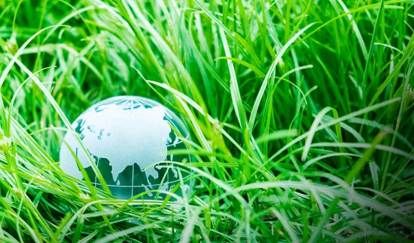 Día Tierra Concepto Globo Hierba Verde Con Espacio Copia —  Fotos de Stock