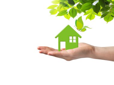 Ev yeşil ve yandan kelebek