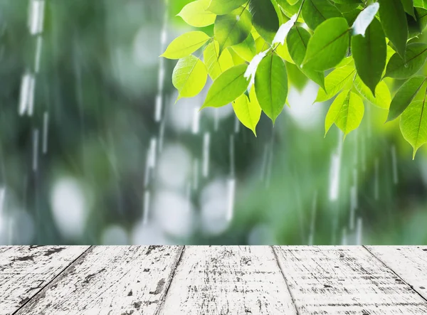Bladeren in regenachtige dag voor achtergrond — Stockfoto