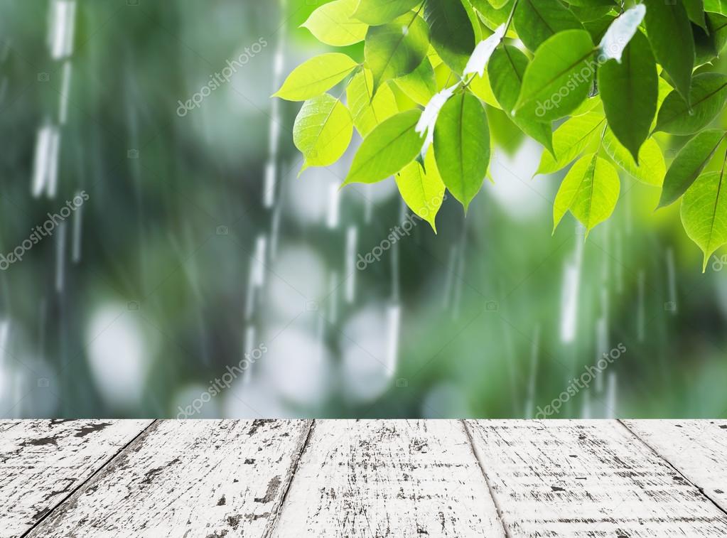 Leaves in rainy day for background