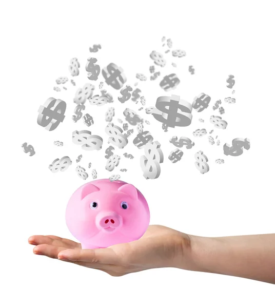 Piggy bank and dollar sign — Stock Photo, Image