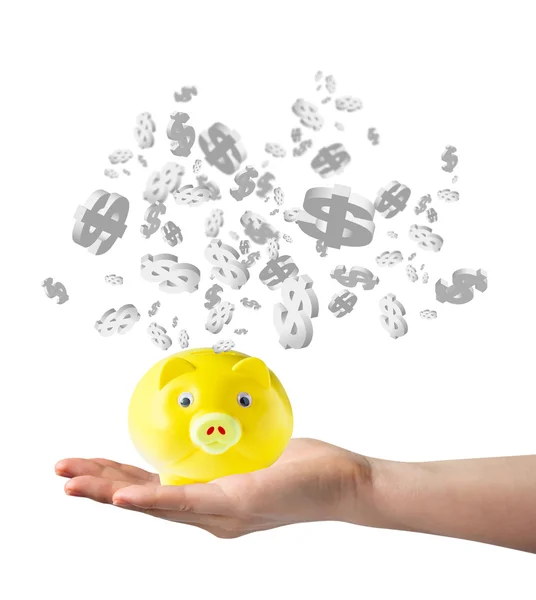 Piggy bank and dollar sign on white background — Stock Photo, Image