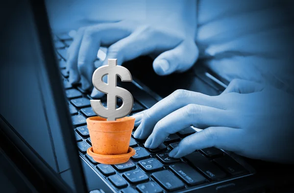 Зарабатывание денег онлайн — стоковое фото