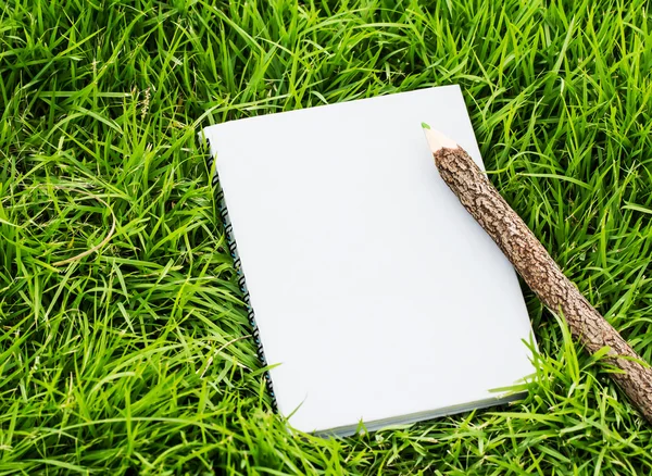 Pensil dan buku catatan di rumput — Stok Foto