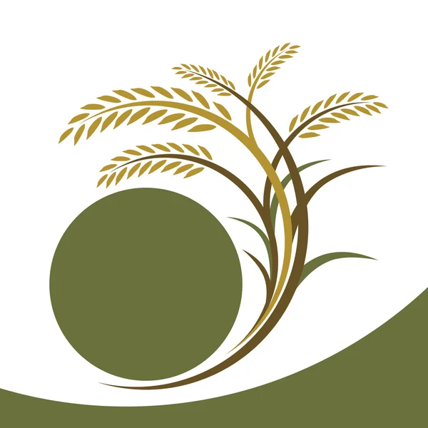 beyaz zemin üzerine pirinç tasarım