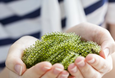 Deniz üzüm kadın yandan kalp tabak