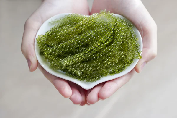 Deniz üzüm kalp tabak kadın ellerinde