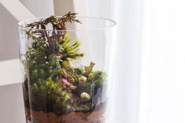 Oturma odasında şişe Bahçe Dekorasyon