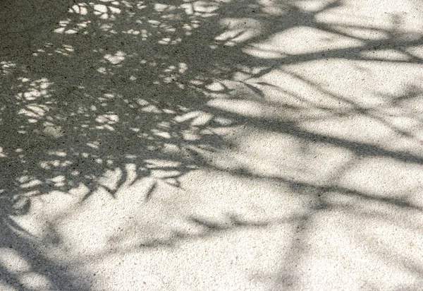 Sombra de árbol en el suelo de piedra —  Fotos de Stock