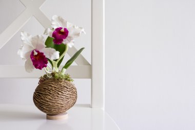 Cattleya orkide beyaz sandalye