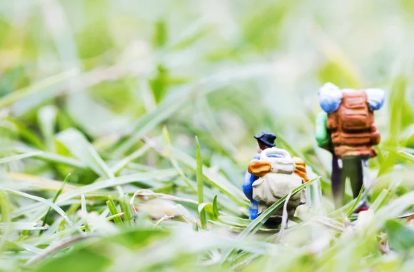 Randonneurs miniatures marchant sur l'herbe — Photo