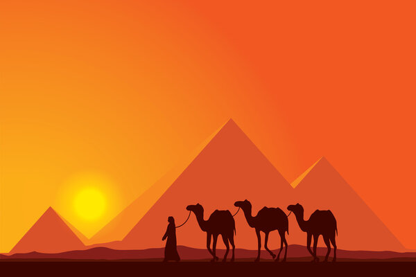 Великие пирамиды Египта с караваном верблюдов на фоне заката
 
