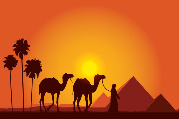 Великие пирамиды Египта с караваном верблюдов на фоне заката
 