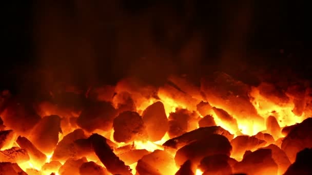 Вогонь деревного вугілля на чорному тлі — стокове відео
