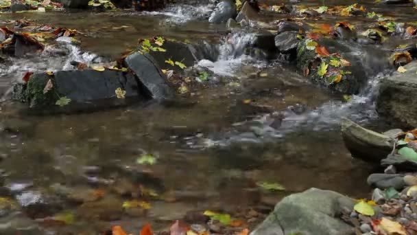 Autumn waterfall with yellow leaves — Stock Video