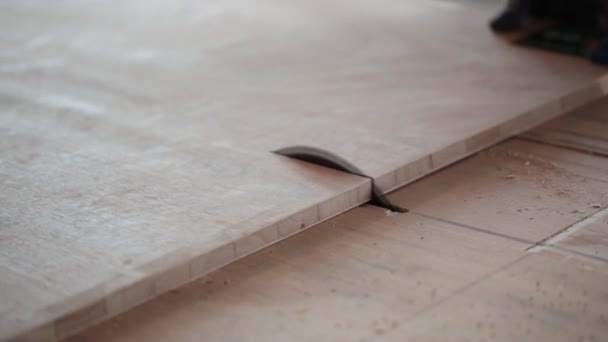 Plank saw cutting through timber — Stock Video