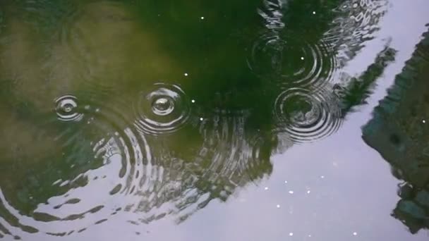 Água a pingar na piscina — Vídeo de Stock