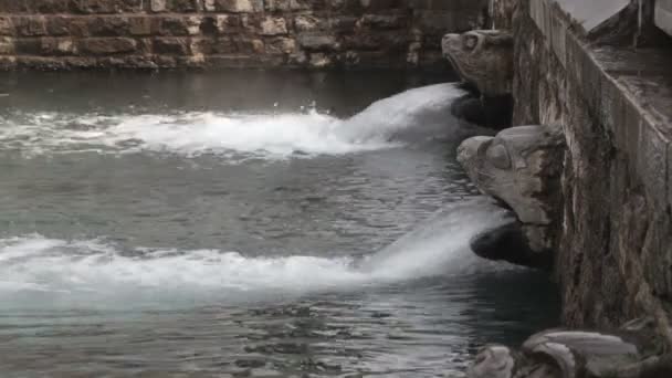 Источники просачивания воды в парке — стоковое видео