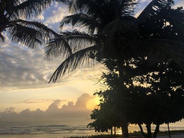 güzel tropik yağmur ormanı, gün batımı siluet