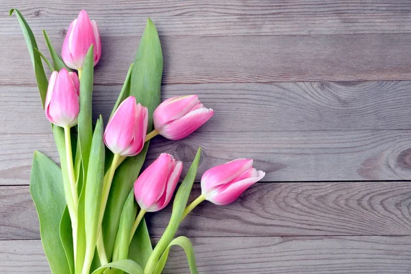 Lale, Bahar çiçek.