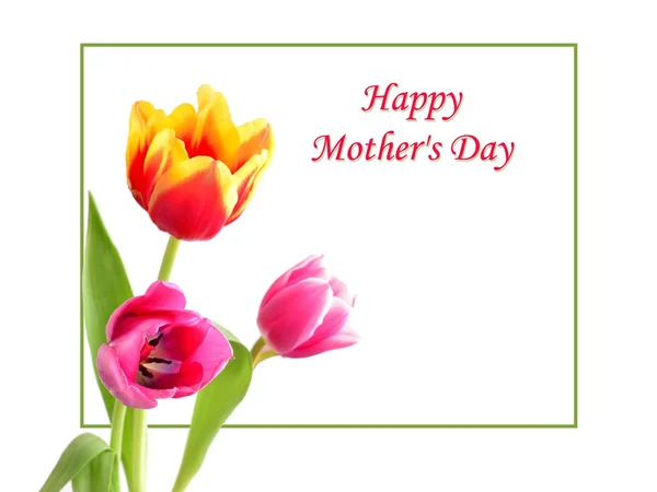 La fête des mères. Les fleurs de la fête des mères. Carte de la fête des mères avec tulipes. Des tulipes roses pour la fête des mères. Fond de la fête des mères et fleur de la fête des mères. Cadeau de la fête des mères . — Photo