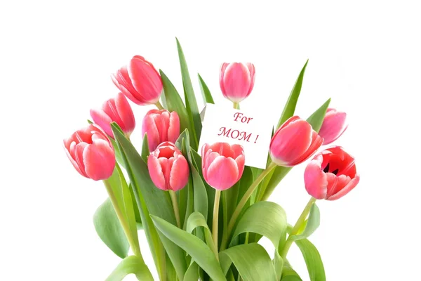 Mothers day. Mothers day flowers. Mothers day card with tulips. Pink tulips for mother day. Mothers day background and mother day flower. Mothersday gift. — Stock Photo, Image