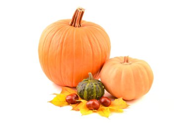 Kabaklar, sebze ve dekorasyon.