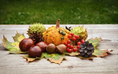 Sonbahar arka plan, sonbahar