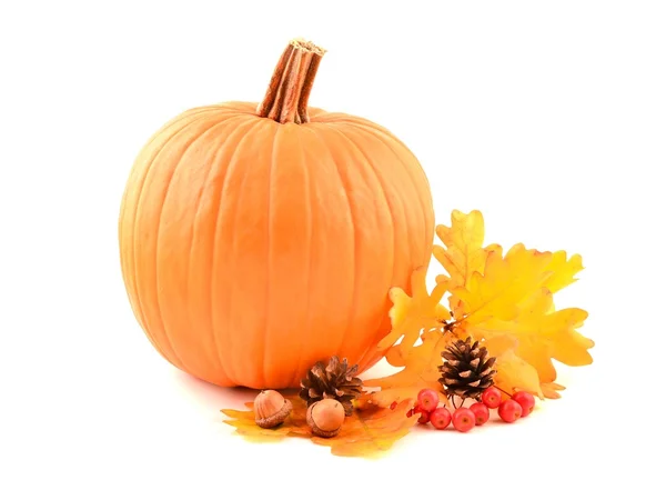 Pumpkins, vegetables and decoration. — Stock Photo, Image