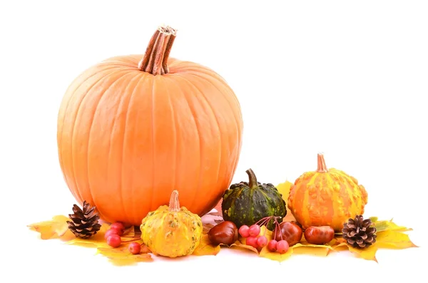Pumpkins, vegetables and decoration. — Stock Photo, Image