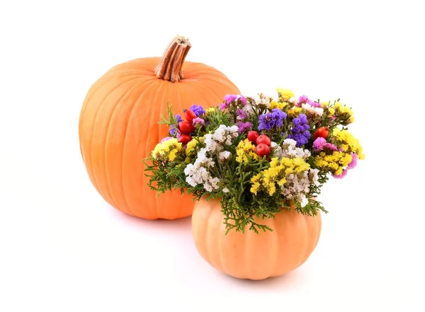 Pumpkins, vegetables and decoration. — Stock Photo, Image