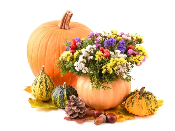 kabaklar ve çiçekler