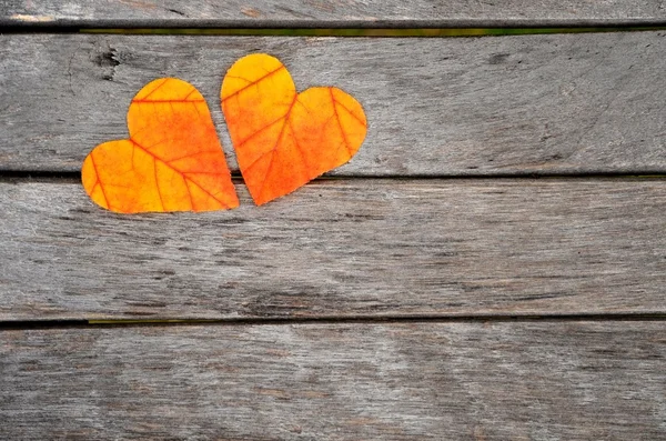 Autumn background, fall — Stock Photo, Image