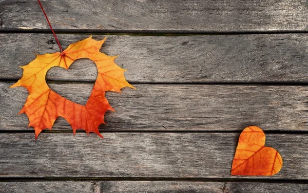 Autunno sfondo, autunno — Foto Stock