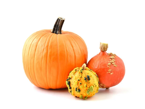 Pumpkin — Stock Photo, Image