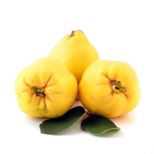 Quince. Fresh fruit. — Stock Photo, Image