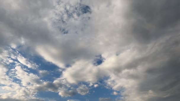 Blauer Himmel Wolken Zeitraffer Einem Sonnigen Tag — Stockvideo