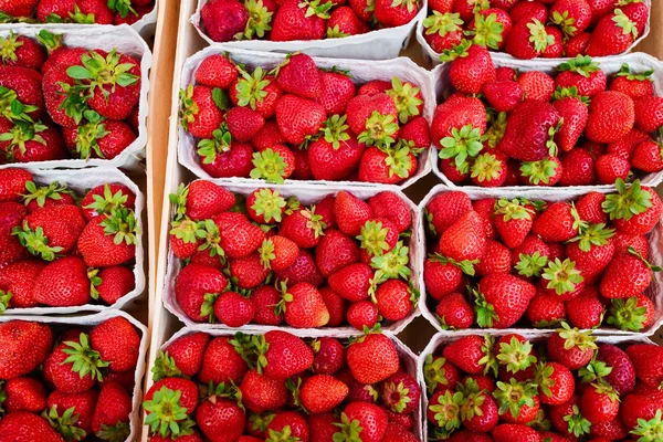 Färska jordgubbar på marknaden — Stockfoto