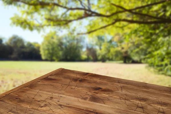 Leerer Holztisch Über Dem Herbstlichen Naturpark Hintergrund Picknick Attrappe Für — Stockfoto