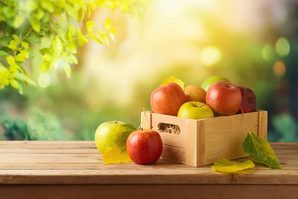 Elmalar Ahşap Kutuda Masanın Üstünde Sonbahar Sonbahar Hasat Geçmişi — Stok fotoğraf