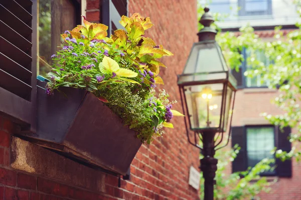 Beautiful house detail — Stock Photo, Image