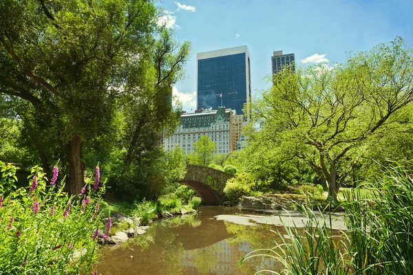 Central Park estanque y puente — Foto de Stock