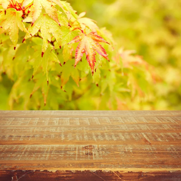 Hintergrund Herbst — Stockfoto