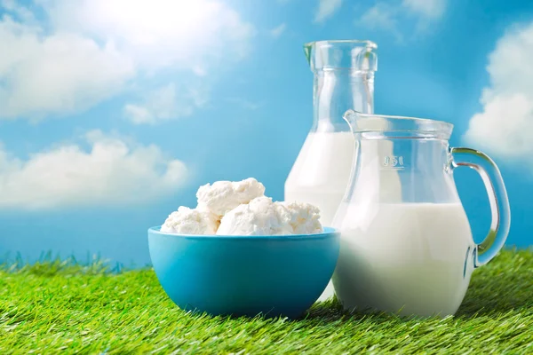 Milk and cottage cheese — Stock Photo, Image