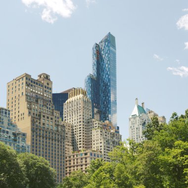 New York Central Park manzarası