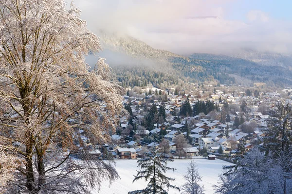 冬景色の背景 — ストック写真