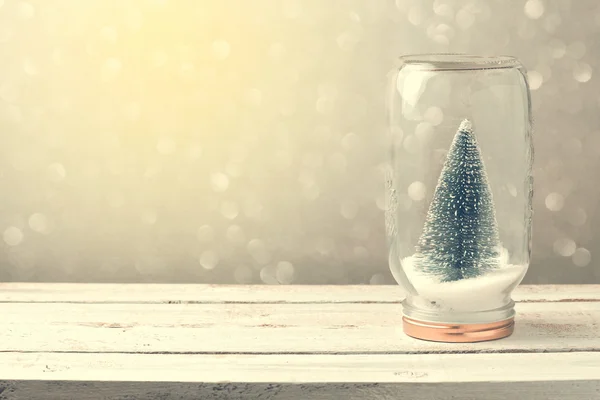 Albero in vaso e bokeh — Foto Stock