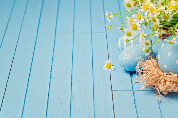 Daisy flowers and painted eggs — Stock Photo, Image