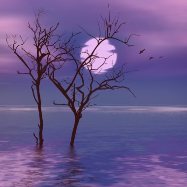 Güzel doğal manzara